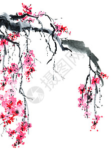 浅草树花花瓣手工手绘刷子草地条款罪恶热带植物水彩图片