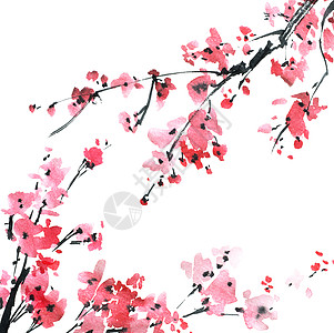 浅草树花国画樱花条款热带插图刷子水彩艺术品花园罪恶图片