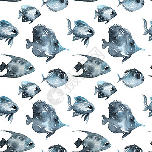 鱼水彩鱼类水彩色插图水彩草图海上生活海洋荒野蓝色艺术游泳墙纸绘画背景