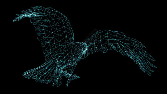 Eagl 的隔离低聚图形设计荒野翅膀野生动物数据自由绘画标识动物框架3d图片