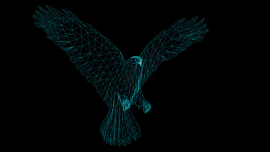 低聚木糖Eagl 的隔离低聚图形设计翼展绘画草图数据翅膀荒野标识野生动物3d金属背景