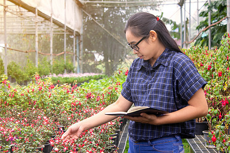 在温室工作的亚洲园丁妇女的肖像 用笔记本检查农场上种植的花朵和温室中的病虫害女孩爱好工人苗圃花园商业杂草店铺园艺植物图片