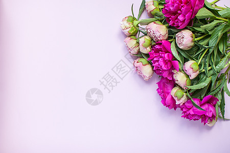 深粉色和浅粉色牡丹的布局卡片白色花束假期问候语花瓣植物高架平铺活力图片