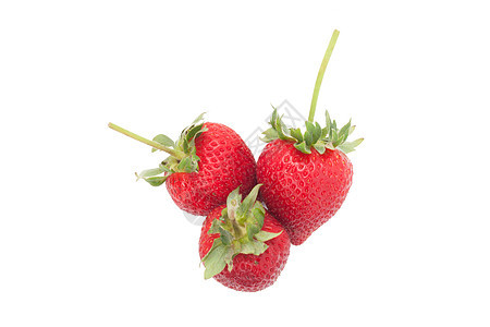草莓生长植物甜点水果营养植物学收成农场饮食花园图片