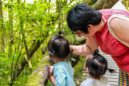在泰国清迈的自然研究道路上 亚洲祖母和她的孙子正在使用放大镜来探索大自然 校对 Soup图片