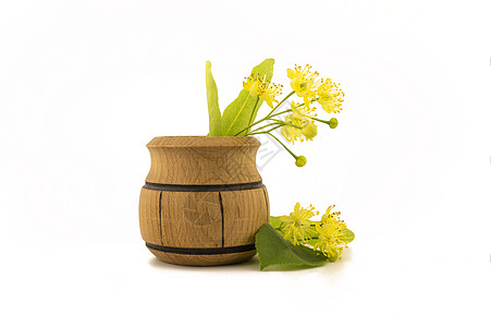 鲜采的黄色林子花木盆药品蜂蜜杯子植物食物草本植物植物群饮料椴树疗法图片