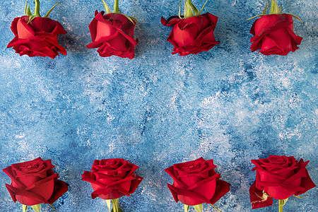芳基涂料背景上的一朵红玫瑰婚礼绘画刷子蓝色玫瑰墙纸海报纪念日艺术帆布图片