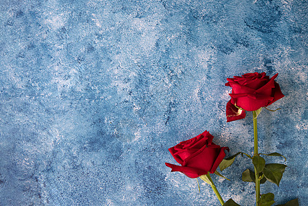 蓝色和白色亚克力背景上的红玫瑰玫瑰艺术墙纸纪念日婚礼周年海报绘画帆布刷子图片
