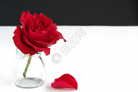 红玫瑰在玻璃瓶里图片
