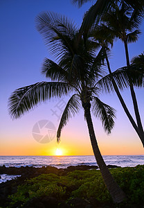 夏威夷Kauai海岸的日落天空波浪蓝色太阳风景热带天堂公园旅游日出图片