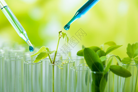 向年轻采样厂投下绿色样品化学剂植物微生物学生物叶子实验蓝色科学器皿科学家生物学图片