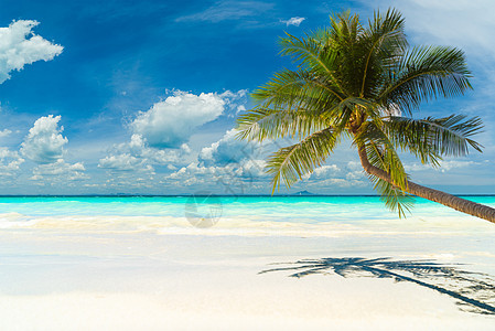 一个惊人的热带海滩旅游女士蓝色日落晴天太阳女孩异国天堂天空图片