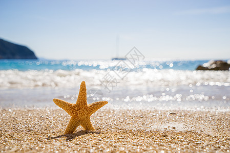 爱奥尼亚海莱夫卡达岛Katsiki港海滩上的海星图片