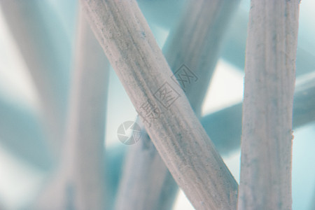 创建艺术彩色背景 来自干编织植物纤维显微镜摄影的巨集镜头照片眼睛生物微生物学科学技术植物群教育研究白色图片