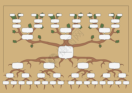 家族树家谱卡通片系谱父母后人祖先亲属图表图片