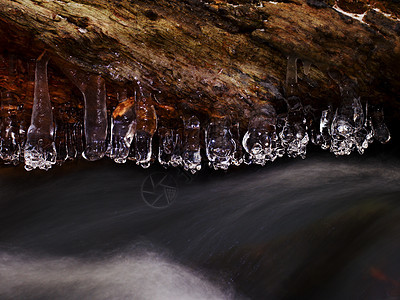 冬天小溪上方的冰树枝 冰柱上的明亮反射液体瀑布水晶冻结荒野裂缝流动树干溪流图片