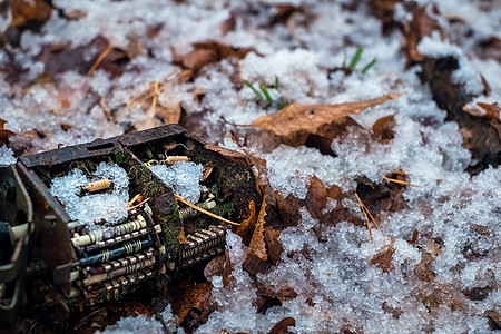 旧的tv调子频道选择器 森林里有苔和雪图片