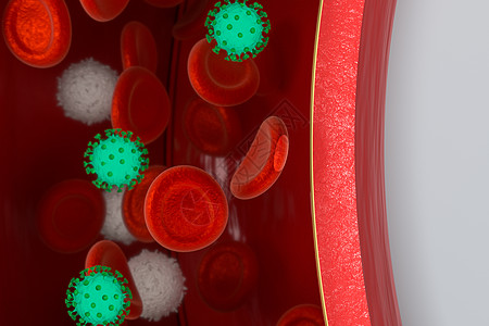 血液中的病毒 加上红色和白色的血细胞 3D接触流感场景生物学病理细胞生活红细胞流动科学生物图片