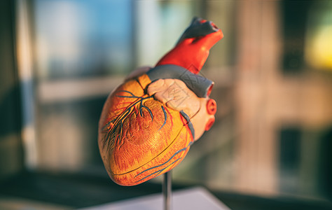 COVID-19冠状病毒心力衰竭症状医学心脏模型显示冠状病毒感染中风血栓的心血管风险图片