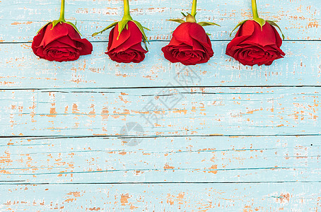 蓝色背景的红玫瑰花风格节日图案婚礼活动材料纪念日情人周年庆典图片
