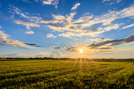 夏天 在农村耕地上晒日落 笑声土地植物农田农业场景晴天生长阳光地平线线条图片
