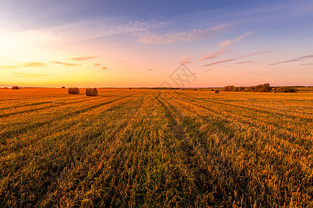 秋天的秋天和干草堆一起在田野上晒日落农村收获圆圈地平线场地蓝色农场天空收成粮食图片