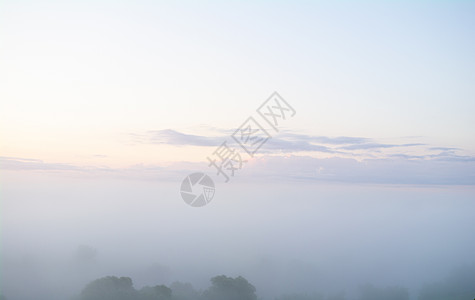 草雾 云彩和树影图片