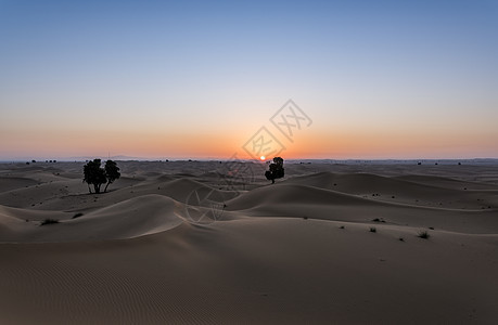 太阳升起在沙丘海洋之上图片