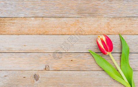 木木背景的红色郁金香材料情人木质母亲纪念日庆典桌子明信片花头活动图片