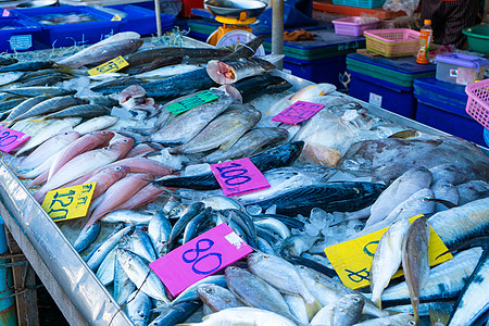 鱼市柜台的新鲜海鲜 在海洋边的鱼市上螃蟹店铺商业渔夫街道贝类销售文化旅行乌贼图片