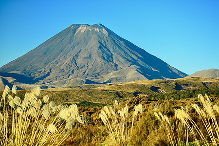 新西兰汤加里罗国家公园的火山 的对称锥体 这是汤加里罗火山群中最大 最活跃的火山 是太平洋火环的一部分风景假期观光公园旅游吸引力图片