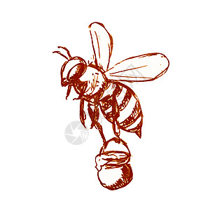 手绘蜜蜂蜜蜂带蜜蜂黑白绘蜜油桶背景