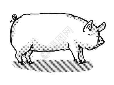 猪小胖卡通形象配图中白猪养殖卡通回溯光绘图背景
