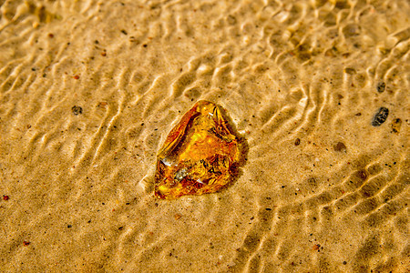 在波罗的海的海滩上安珀材料化石橙子岩石康复水晶矿物果汁树脂黄色图片
