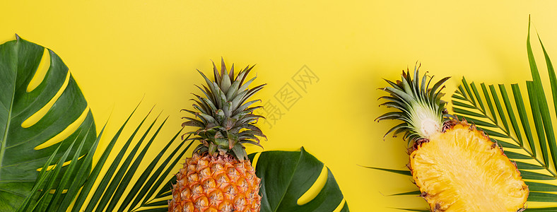 水果海报热带棕榈树上美丽的菠萝 a 与世隔绝的叶子情调墙纸边界水果艺术平铺框架销售高架异国背景