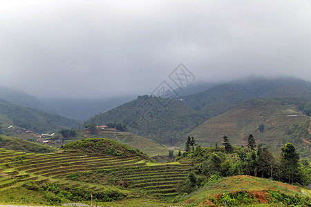 稻田梯田 云中山景 老蔡萨帕Sapa 老凯Lao Cai农场阳台环境收成曲线农民旅行种植园农村文化图片