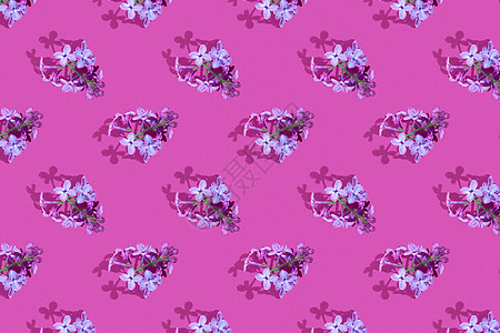 Trendy 等离子度直径无缝连续图案 有春季硅花 概念植物对角线花束香气艺术紫色打印主义者植物学装饰图片