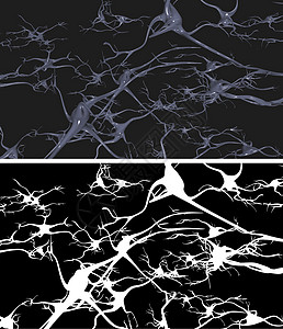带阿尔法掩码的神经细胞图片
