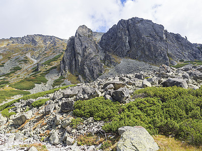 美丽的尖尖山峰有松树 斯洛伐克塔特拉斯高山 夏末阳光明日 蓝天空背景自然石头丘陵背包森林享受岩石闲暇农村冒险图片