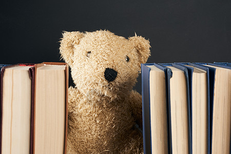 泰迪熊从一堆书后面偷看 黑背学校教育柔软度桌子黑色木头木板学习娃娃乐趣图片
