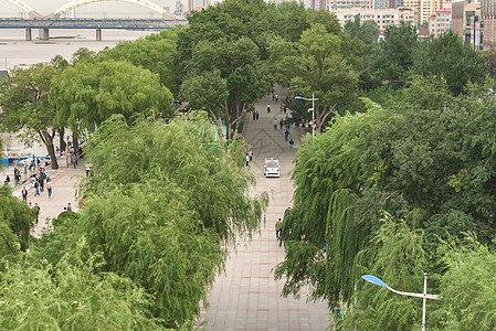 一条行人街道的视图公园树木绿色行人城市人群图片