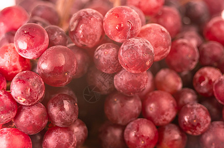 红熟葡萄 含水喷雾 在收获后清新藤蔓射线植物收成食物果汁水滴生长饮食营养图片