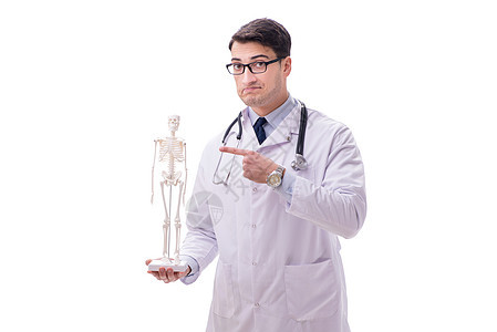 长龙男医生 骨架被白板隔离医师骨骼治疗师保健身体检查学生病人教育脊柱图片
