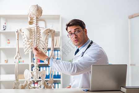 长龙男医生 骨架被白板隔离药品考试病人医疗老师身体骨骼从业者解剖学手术图片
