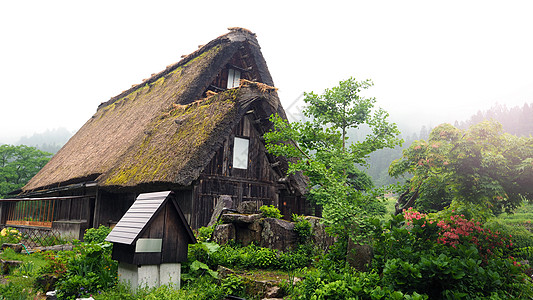 雨天的白川果村森林旅游天空历史性世界建筑季节遗产村庄地标图片