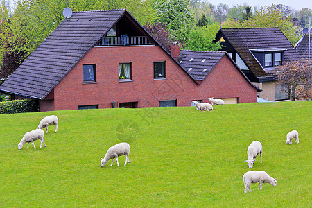 在德国典型农舍前面的牧羊人动物栅栏农民乡村古董农村小屋农家草原场地图片