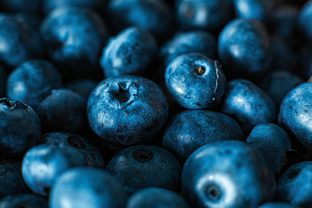 蓝莓果快关门了 夏季维生素A图片