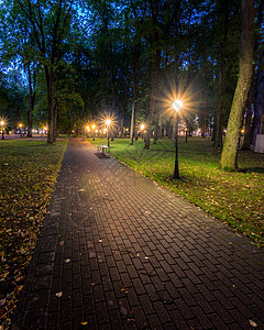 一个夜间公园 灯笼照亮的夜公园 有石路 树木 瀑布阴影反射胡同景观人行道场景路面城市街道木头图片