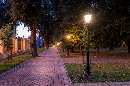 一个夜间公园 灯笼照亮的夜公园 有石路 树木 瀑布树枝阴影途径反射街道黑暗景观木头长椅场景图片