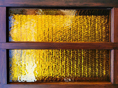 有木和黄色反映背景的窗口 用于演示文稿橙子卧室叶子女性季节房间卡片女士艺术反射图片